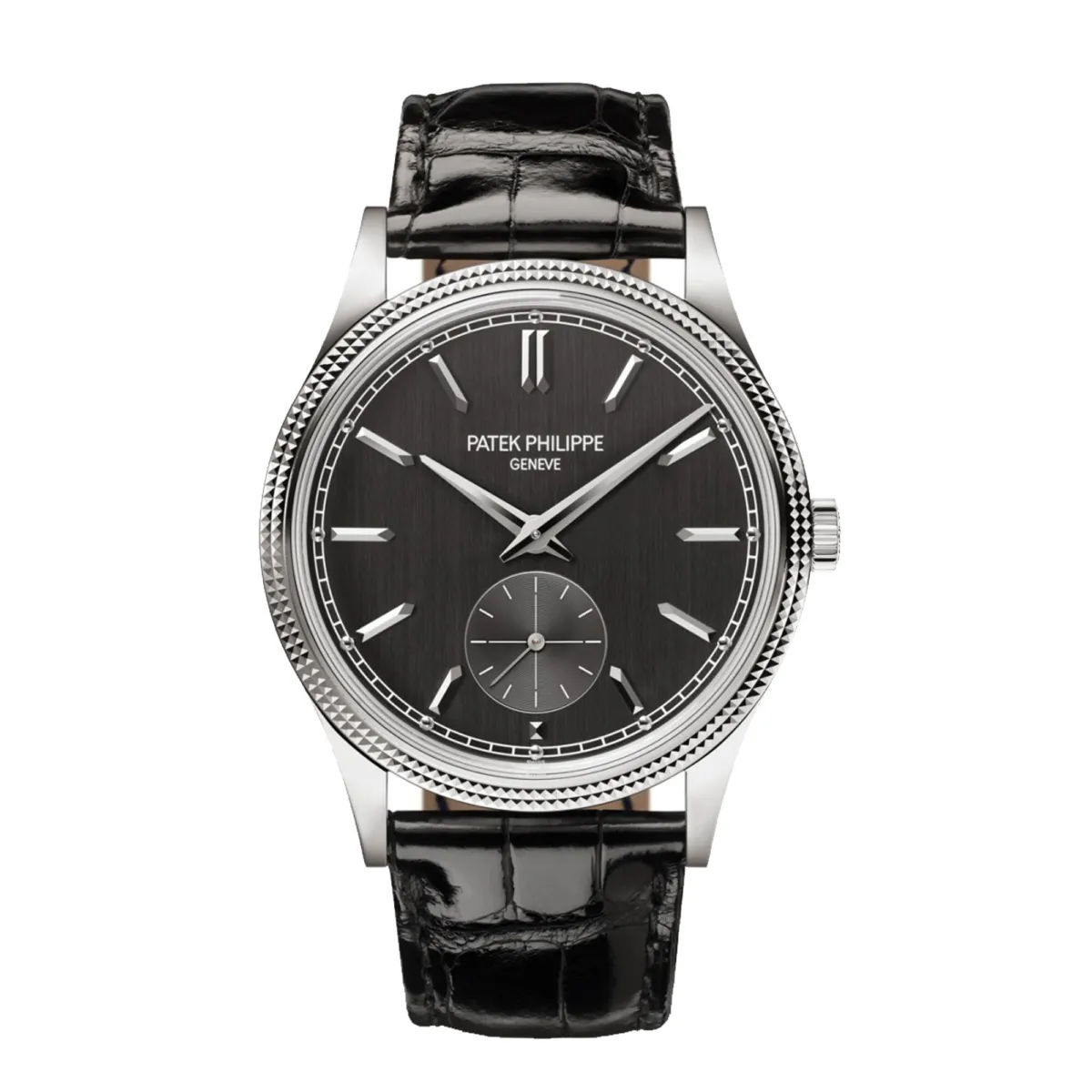 Patek discount steel calatrava