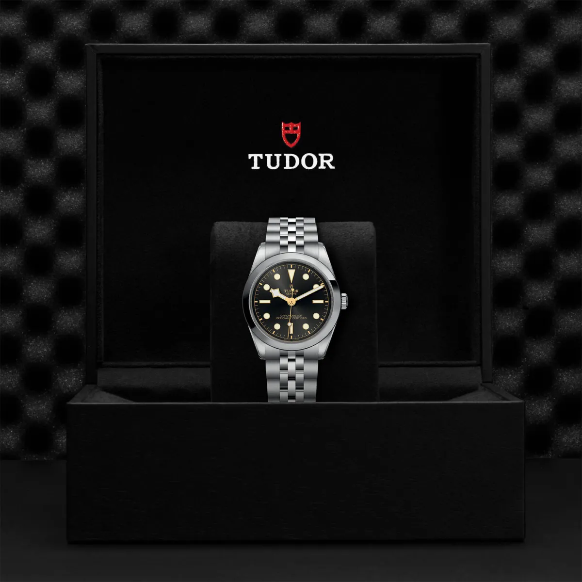 Tudor Black Bay 36 79640-0001 | Jamieson & Carry - Jamieson & Carry