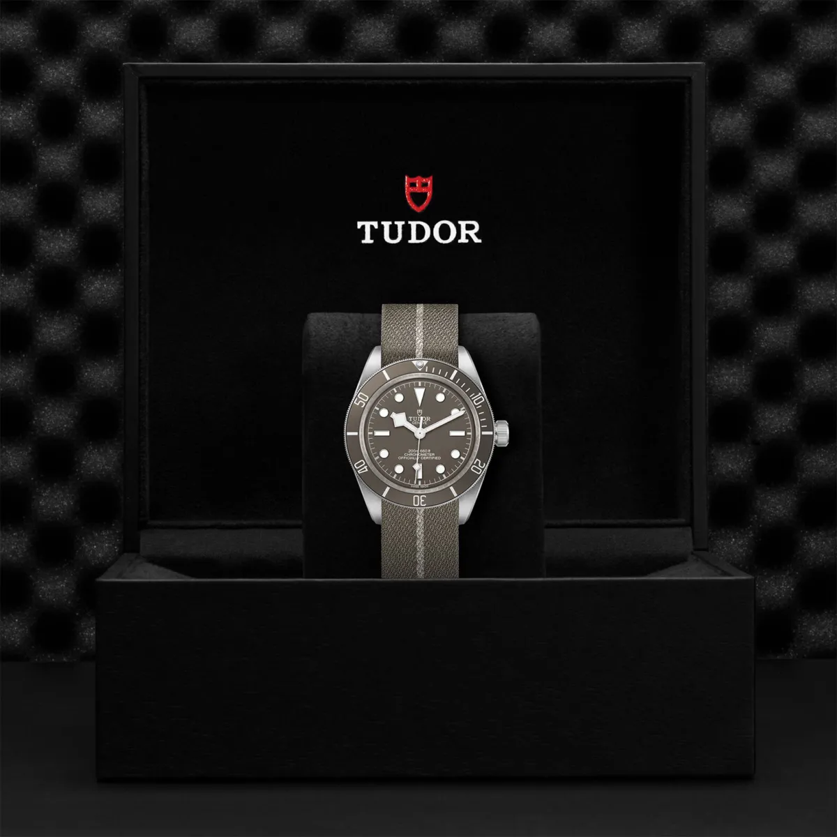 Tudor Black Bay Fifty-Eight 925 79010SG-0002 | Jamieson & Carry 
