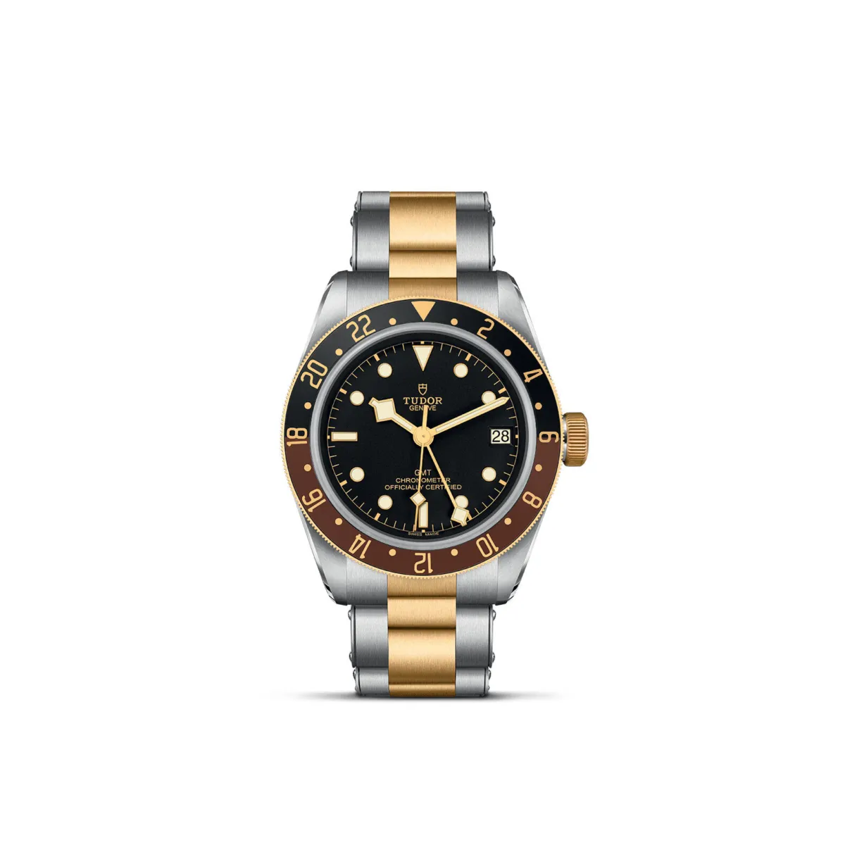 Tudor gold 2025 and steel