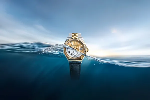 Oyster Story | Jamieson & Carry